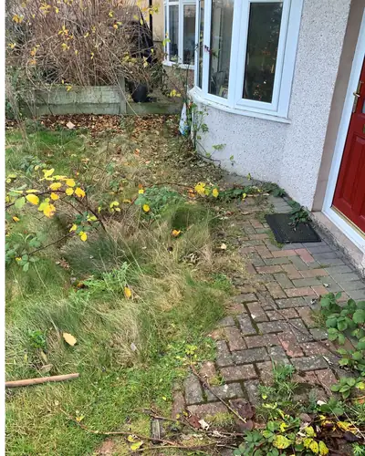 Before: weeds growing over a block-paved front path and border