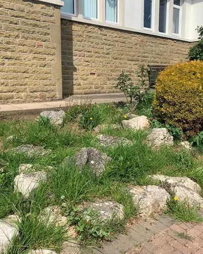 Before: grass and weeds growing between rockery stones