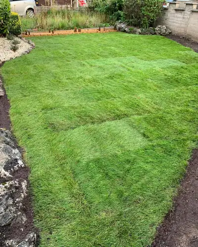 After: new turf laid in a curved shape