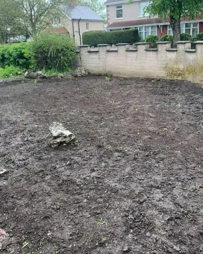 Before: bare, cleared soil