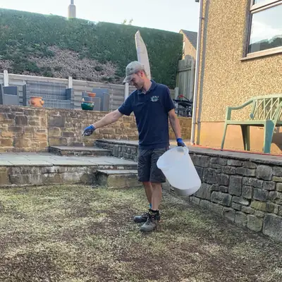 A gardener spreading granules from a tub over a raked lawn area