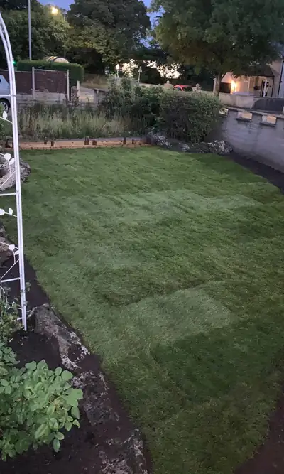 Freshly laid turf beside a planted border