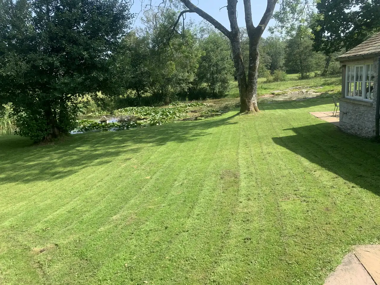 A large lawn freshly mown in stripes, with mature trees and a pond beyond
