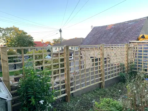 New timber trellis fencing along a garden boundary