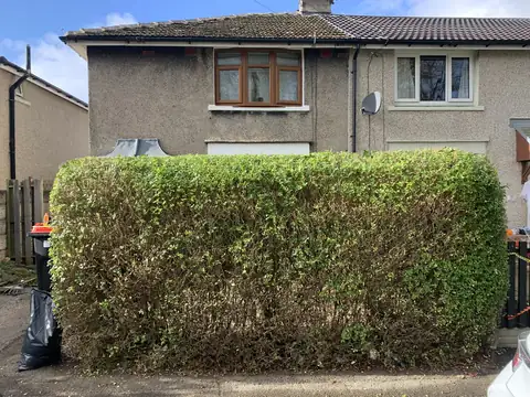 Front garden hedge trimmed into a neat block
